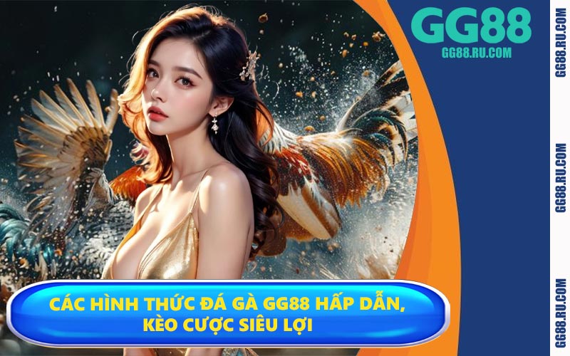 Các hình thức đá gà GG88 hấp dẫn, kèo cược siêu lợi
