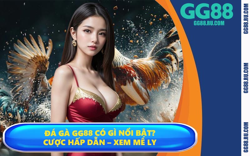 Đá gà GG88 có gì nổi bật? Cược hấp dẫn – Xem mê ly
