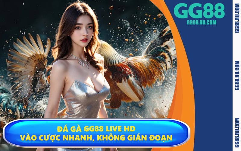 Đá gà GG88 live HD – Vào cược nhanh, không gián đoạn